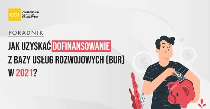 Baza usług rozwojowych jak uzyskać dofinansowanie bez zbędnych formalności