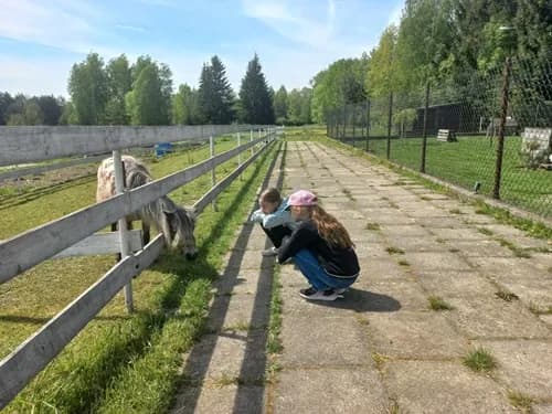 Wieś co zagroda edukacyjna: odkryj fascynujące warsztaty dla dzieci