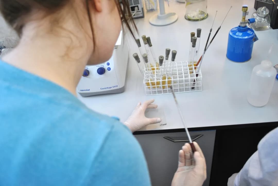 Biologia sądowa czy warto? Perspektywy, zarobki i wyzwania tego kierunku studiów