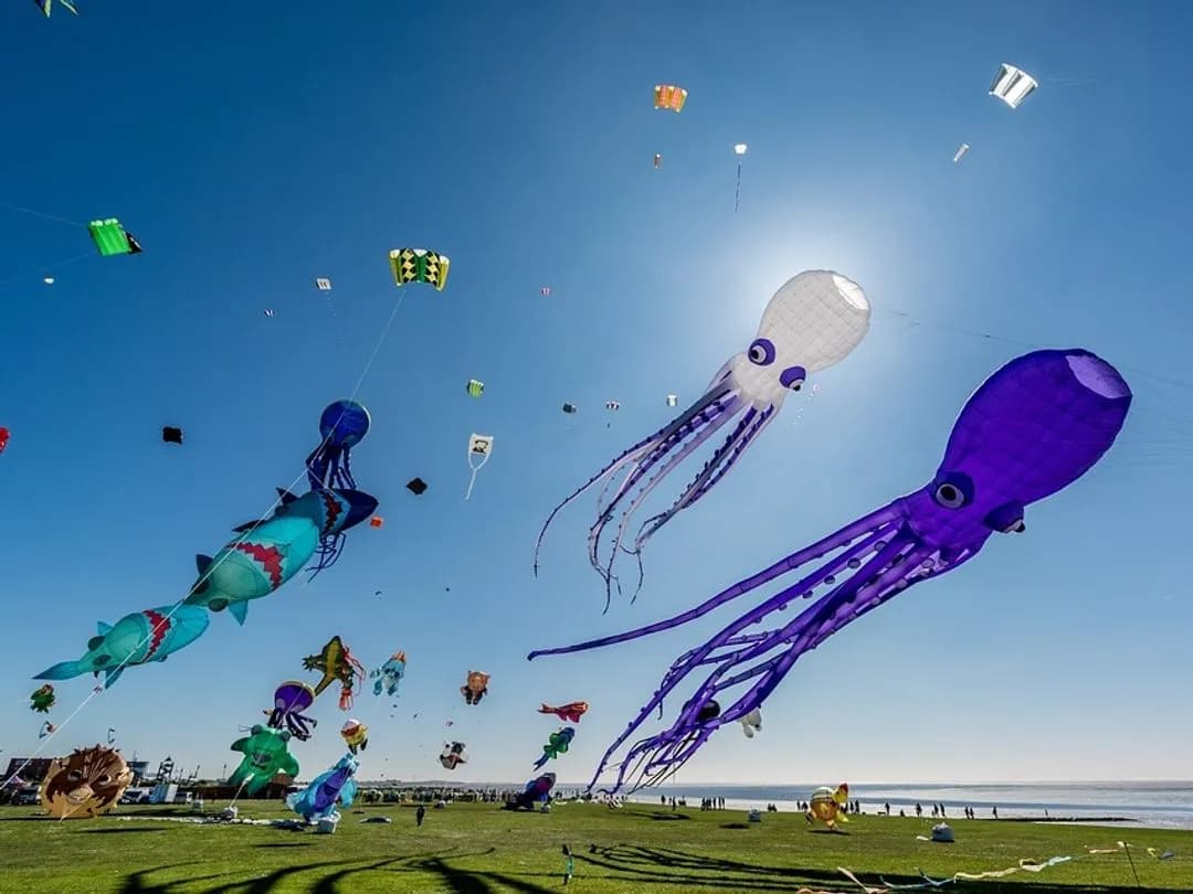 Czy nauczyciel może być wychowawcą kolonijnym bez dodatkowych kursów?