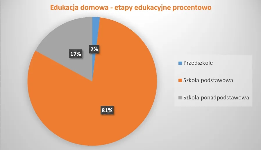 Jak wygląda nauczanie domowe i co warto o nim wiedzieć?